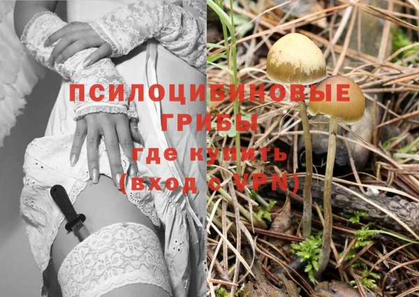 крисы Навашино