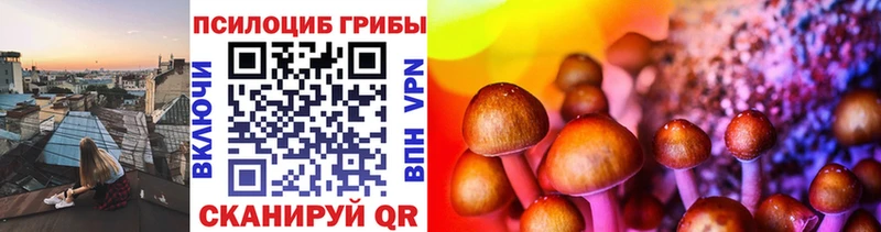 Купить где  Судогда  Псилоцибиновые грибы MAGIC MUSHROOMS 